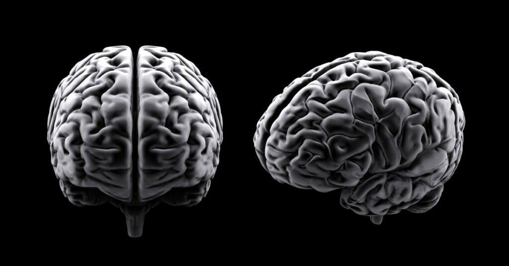 Performance Cognitiva - Como Melhorar Sua Performance Cognitiva