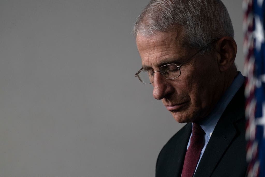 Por que as pessoas estão falando sobre os e-mails do Dr. Anthony Fauci?