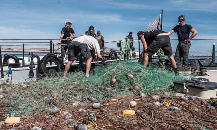 Poluição dos Oceanos o que você sabe sobre isso? O Canudo é Culpado?