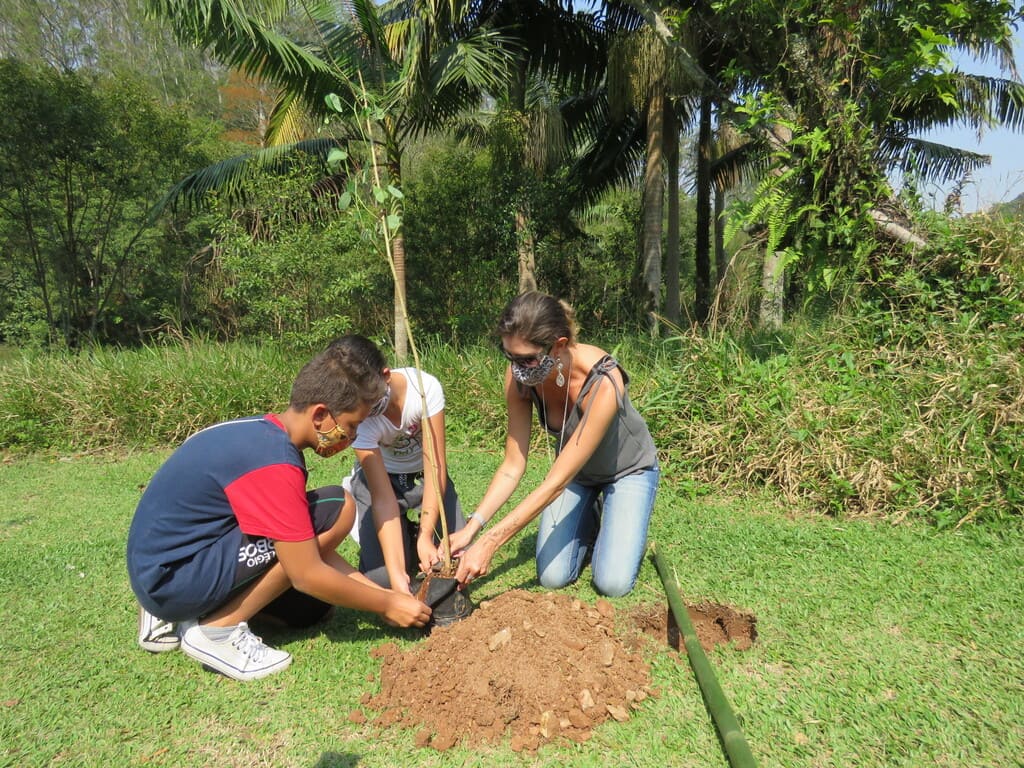Parque do Pedroso ganha 100 mudas nativas no Dia da Árvore Parque do Pedroso ganha 100 mudas nativas no Dia da Árvore