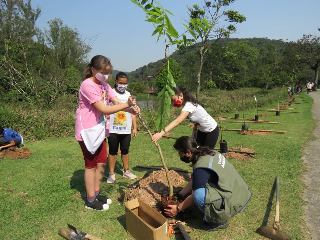 Parque do Pedroso ganha 100 mudas nativas no Dia da Árvore