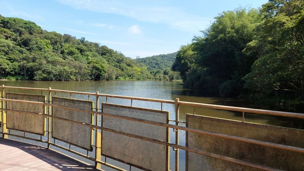 Primeira edição do Festival do Cambuci do Parque do Pedroso é opção de passeio neste sábado