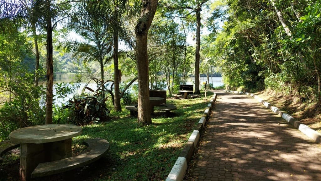Primeira edição do Festival do Cambuci do Parque do Pedroso é opção de passeio neste sábado