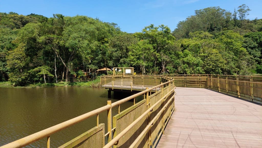 Fim De Semana Tem Arraia No Parque Do Pedroso E Atividade De Educacao Ambiental Para Criancas No Parque Ipiranguinha 2