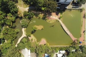 Oásis Urbano: O Legado Vivo do Parque Celso Daniel