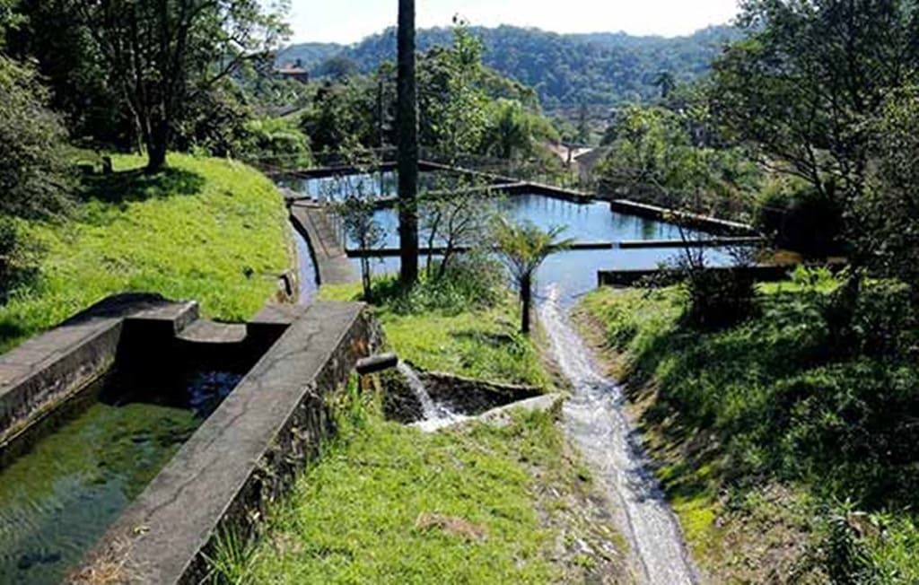 Parque Natural Municipal Nascentes de Paranapiacaba