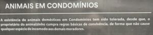 Afinal, condomínios toleram ou têm que aceitar pets? 🐶🐱 Afinal, condomínios toleram ou têm que aceitar pets? 🐶🐱