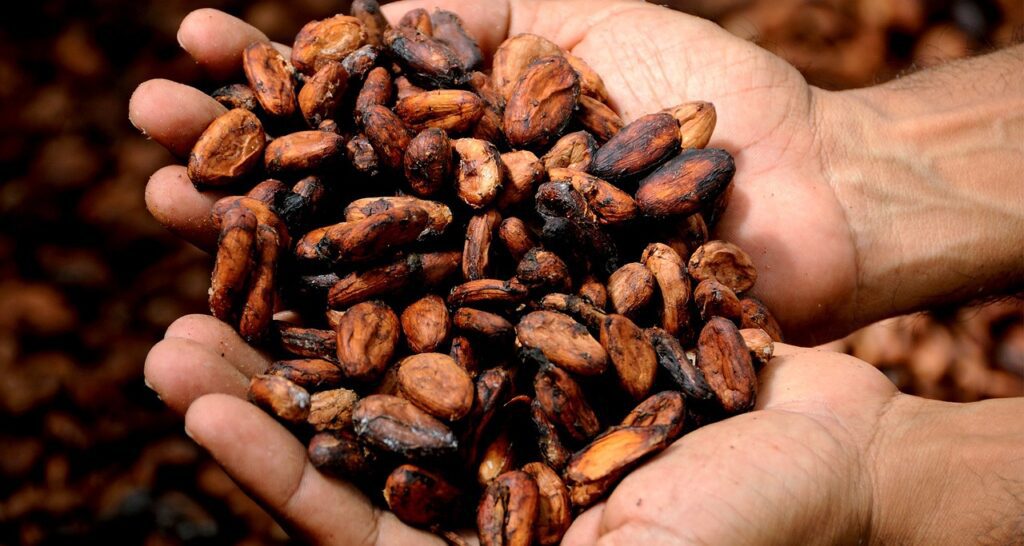 Manteiga de Cacau para Chocolate