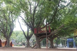 ATIVIDADES NO PARQUE IPIRANGUINHA - Santo André ATIVIDADES NO PARQUE IPIRANGUINHA - Santo André