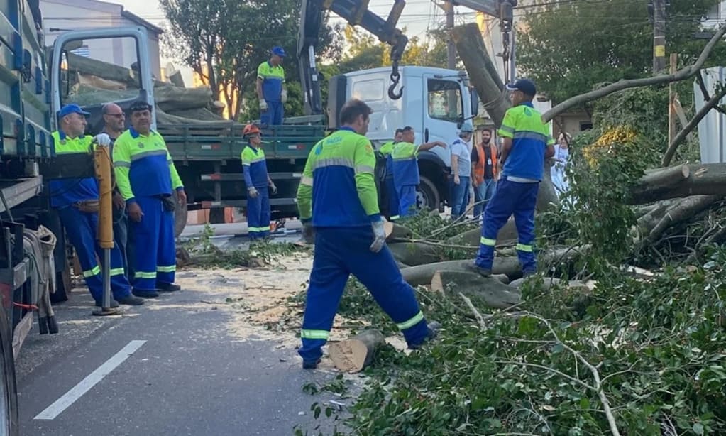 Caos em São Caetano: Ventania e Falta de Luz!