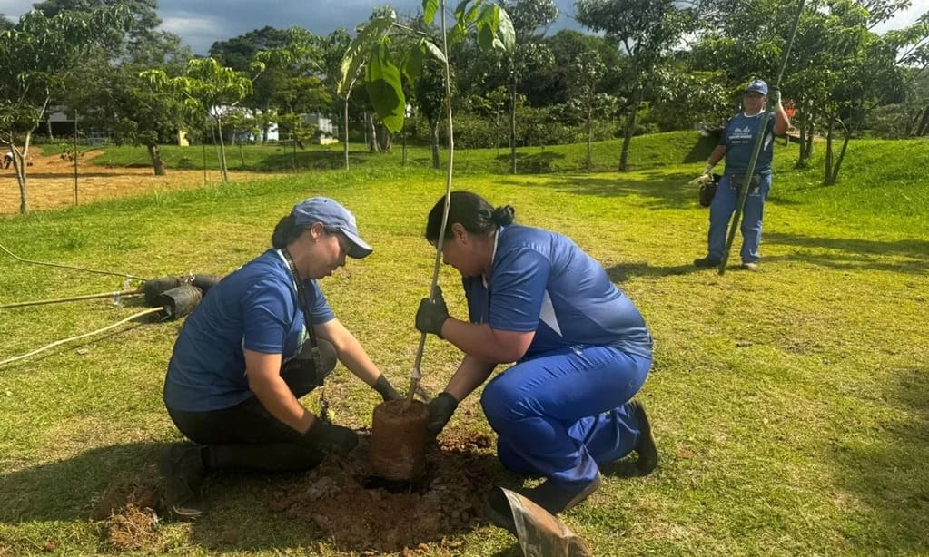 Santo André: Parque Central Renasce com 300 Árvores e Nova Ponte!