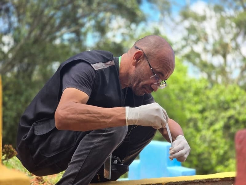Dengue: Ribeirão Pires Aniquila Casos em 70% em 2025