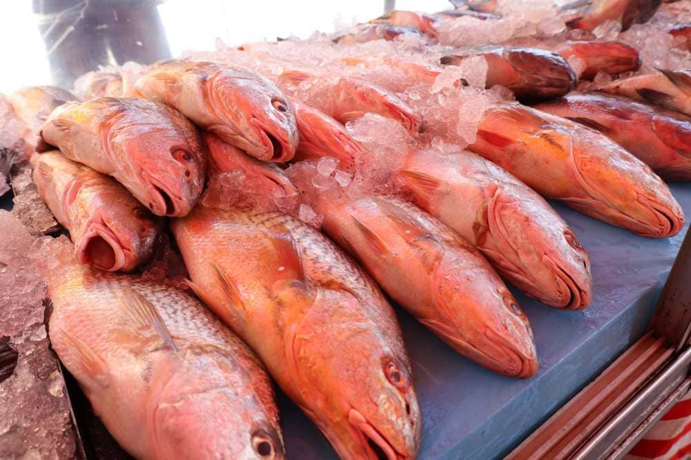 Peixe Barato na Semana Santa? Mauá Libera Locais!