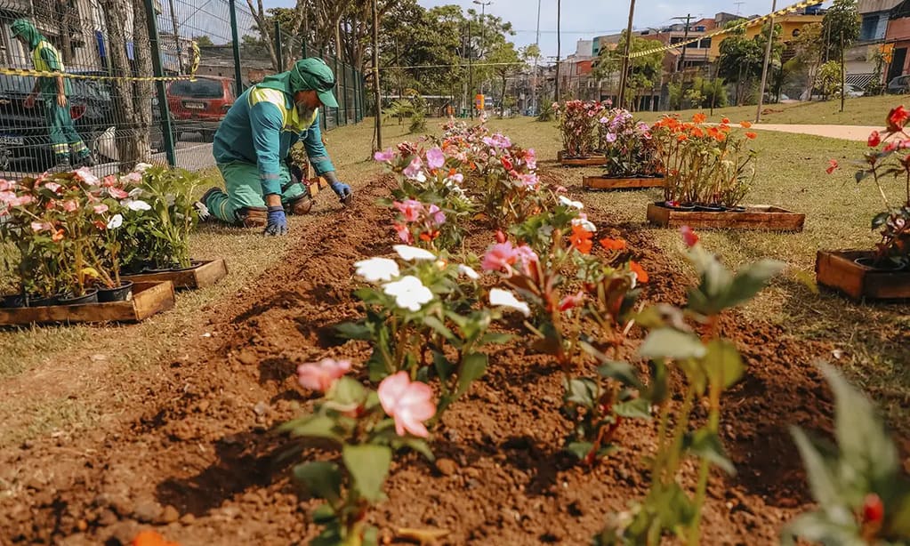 São Bernardo Verde: Escoteiros Plantam o Futuro
